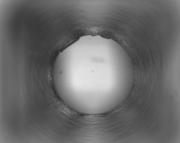 X0000071850331200606301136