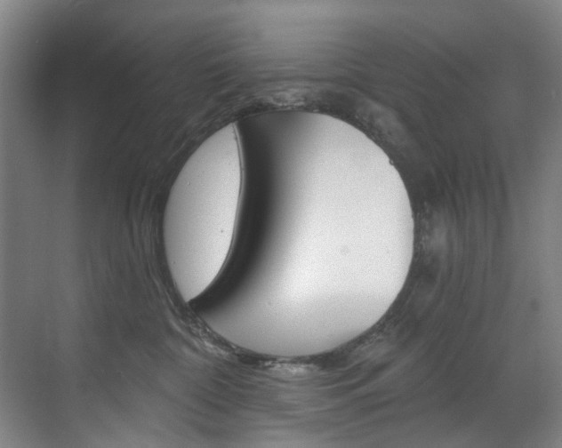 X0000071850332200606301136