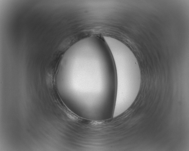 X0000071850333200606301136