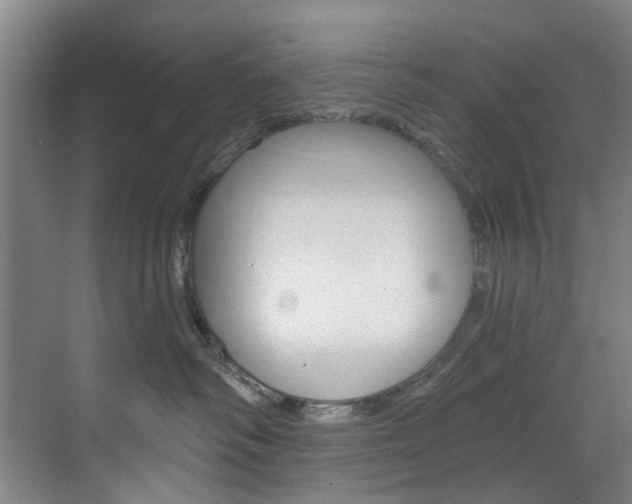 X0000071850334200606301136