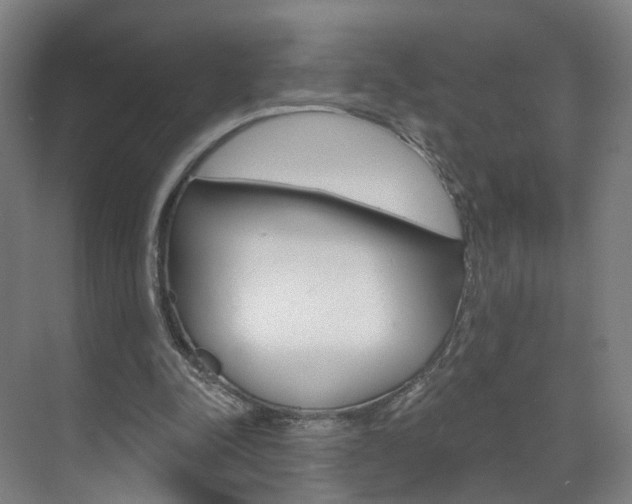 X0000071850342200606301135