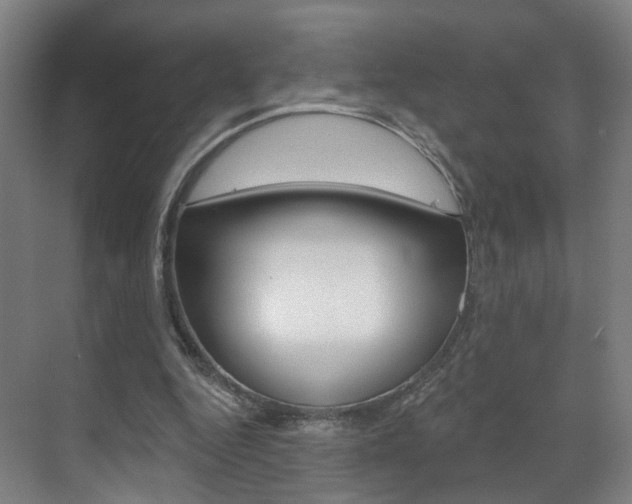X0000071850344200606301135