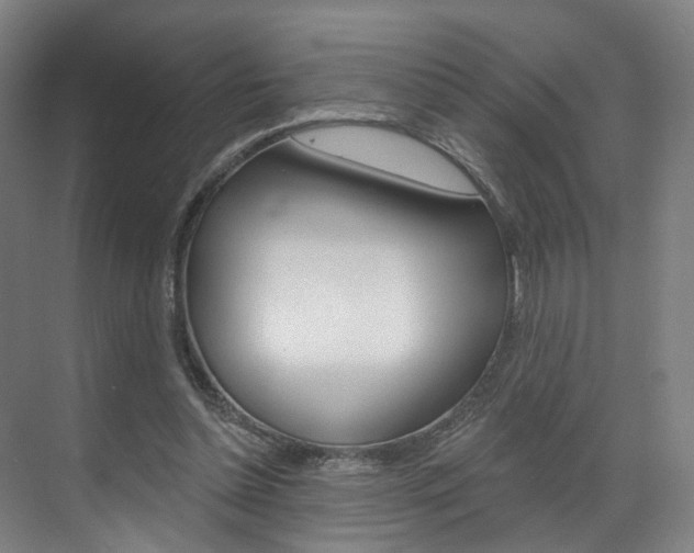 X0000071850348200606301135