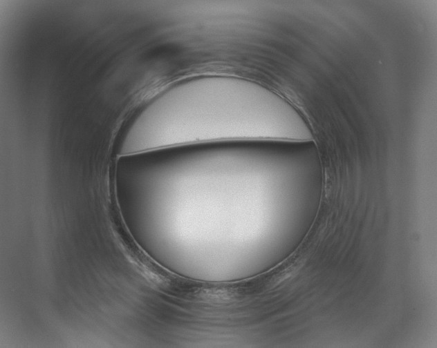 X0000071850349200606301135