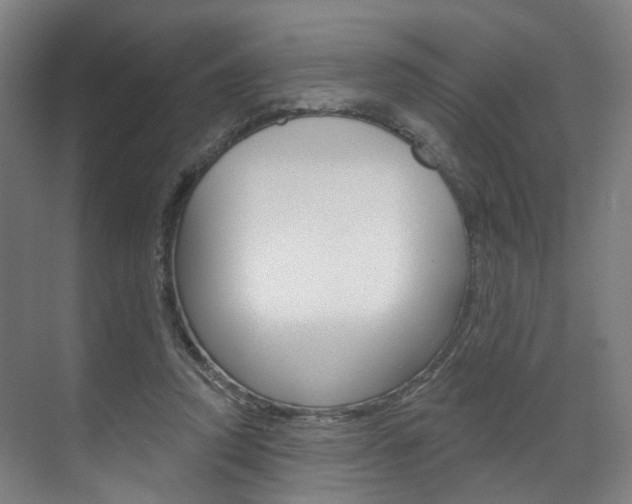 X0000071850354200606301136