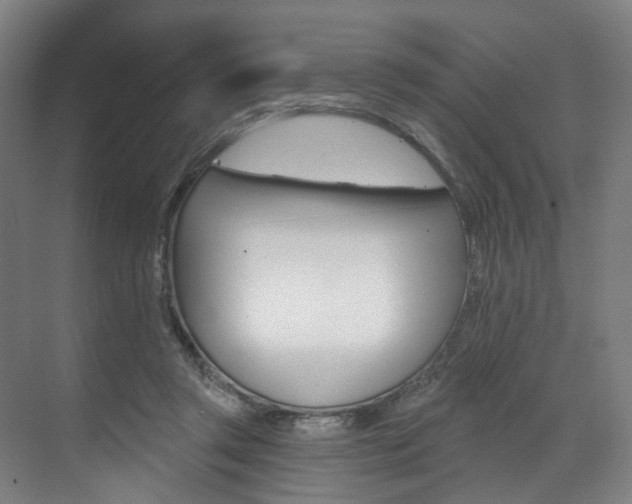 X0000071850357200606301136