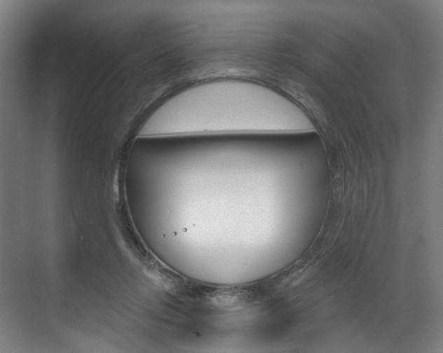 X0000071850358200606301136