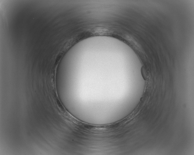 X0000071850361200606301136