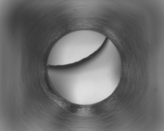 X0000071850362200606301136