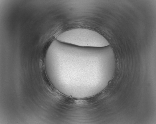 X0000071850371200606301136