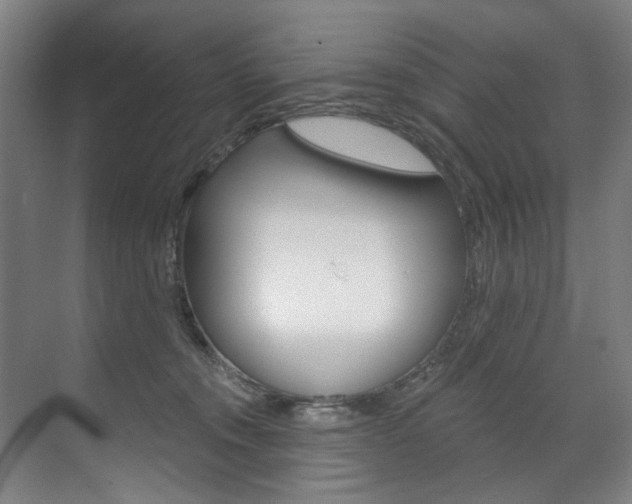 X0000071850372200606301136