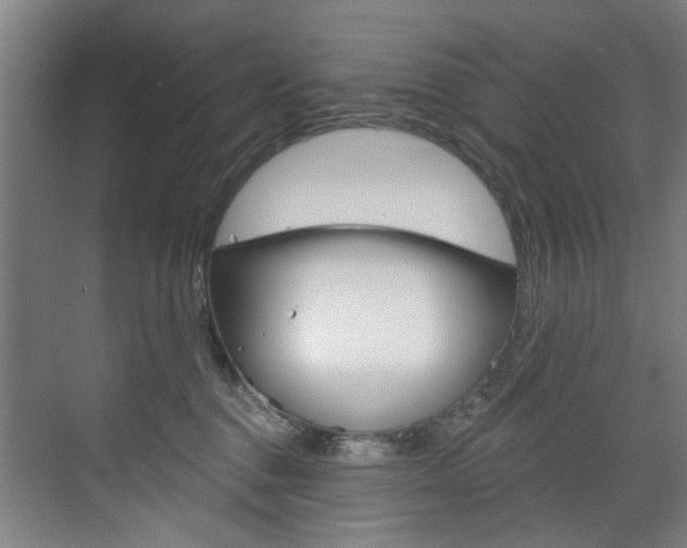 X0000071850376200606301136