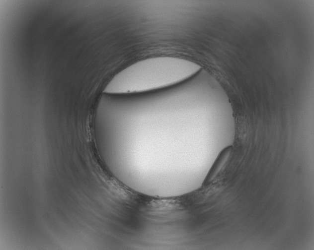 X0000071850378200606301136