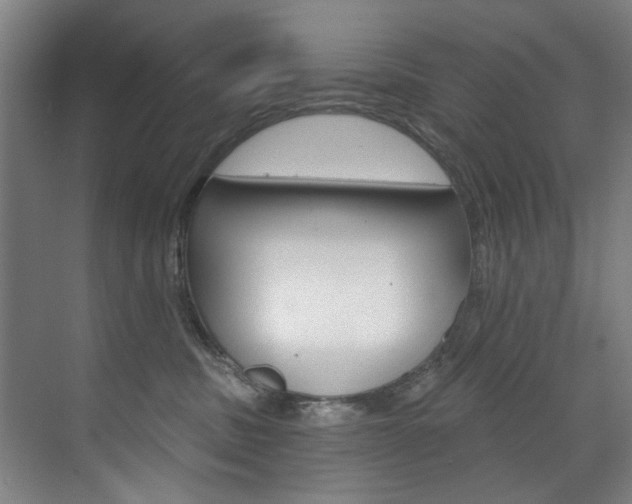 X0000071850379200606301136