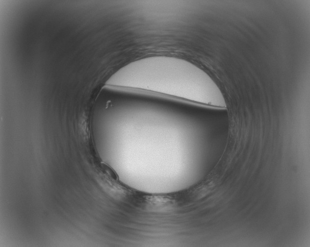 X0000071850380200606301136