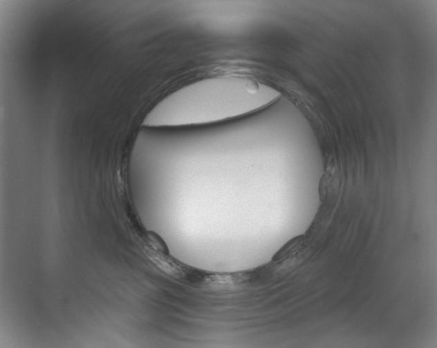 X0000071850381200606301136