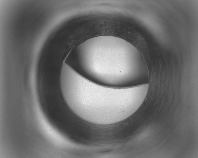 X0000071850383200606301136