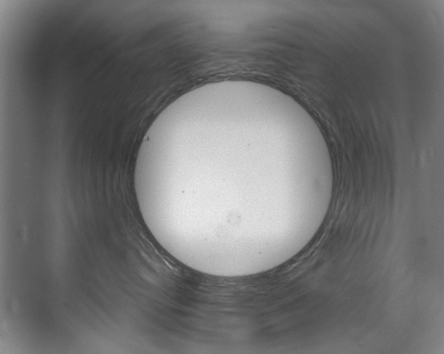 X0000071850384200606301136