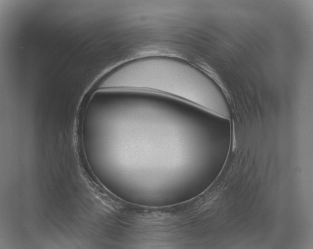 X0000071850387200606301135