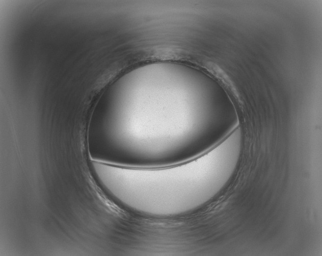 X0000071850393200606301135
