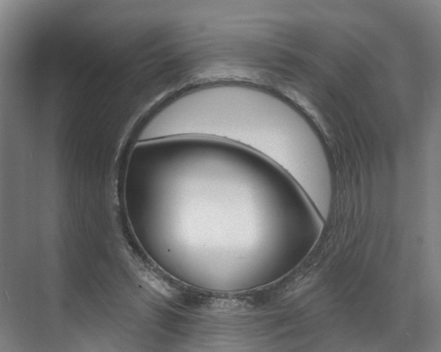 X0000071850399200606301135