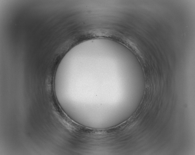 X0000071850402200606301135
