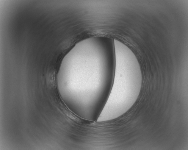 X0000071850425200606301135