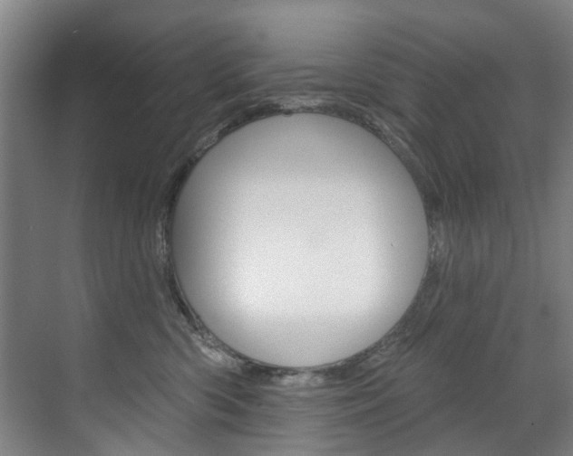 X0000071850426200606301135
