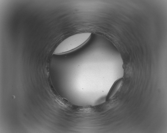 X0000071850428200606301134