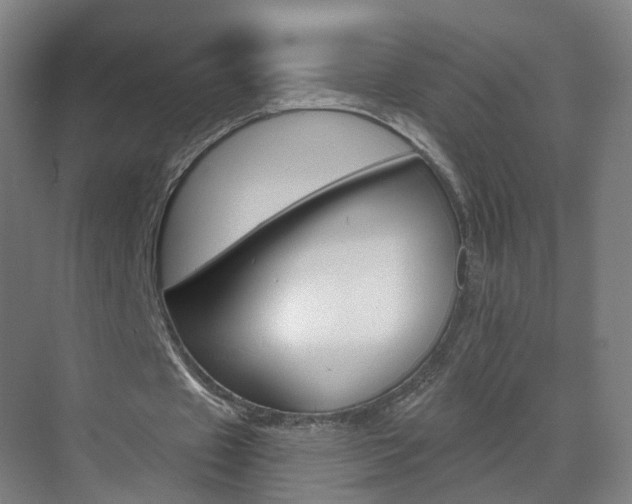 X0000071850433200606301134