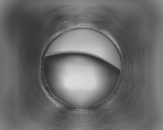 X0000071850437200606301134
