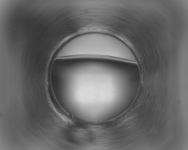 X0000071850438200606301134