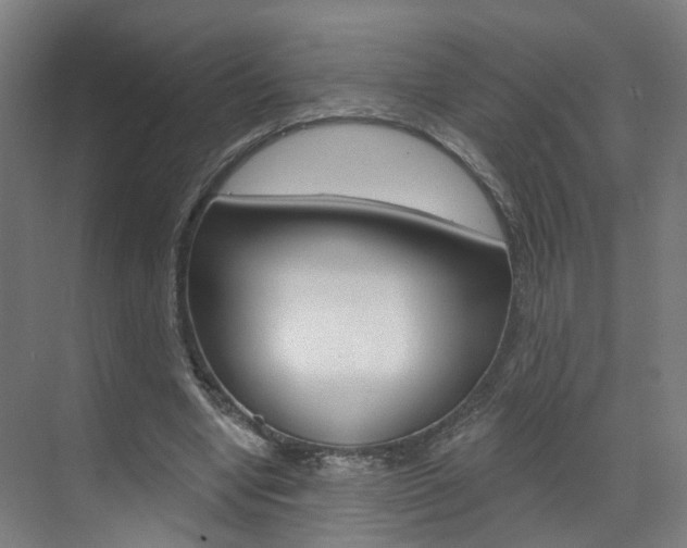 X0000071850442200606301134