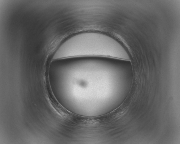 X0000071850443200606301134