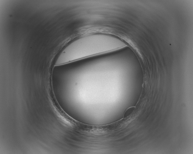 X0000071850445200606301134