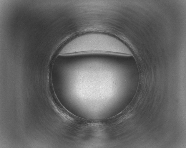 X0000071850446200606301134