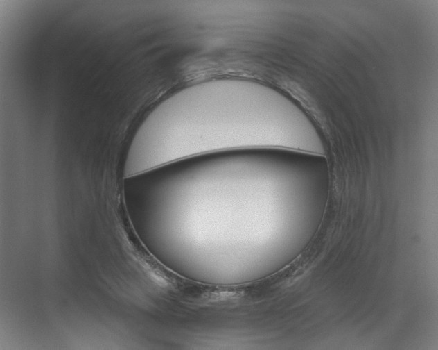 X0000071850449200606301134