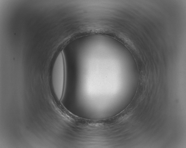 X0000071850450200606301134