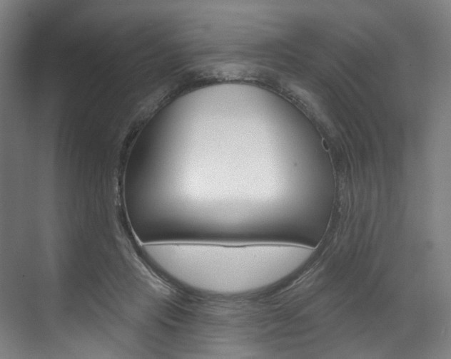 X0000071850453200606301134