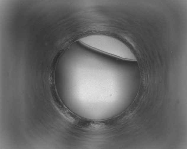 X0000071850455200606301134