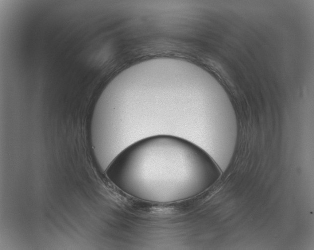 X0000071850457200606301134