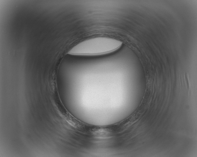 X0000071850460200606301134