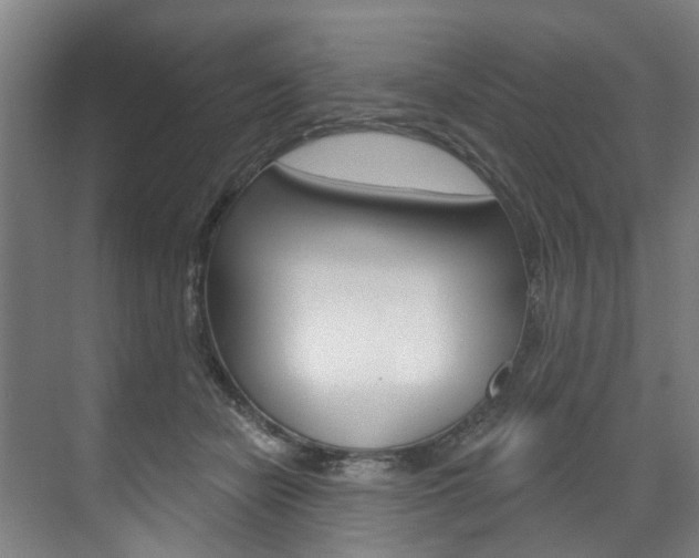 X0000071850462200606301134