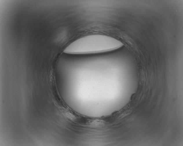 X0000071850463200606301134