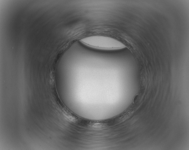 X0000071850467200606301134
