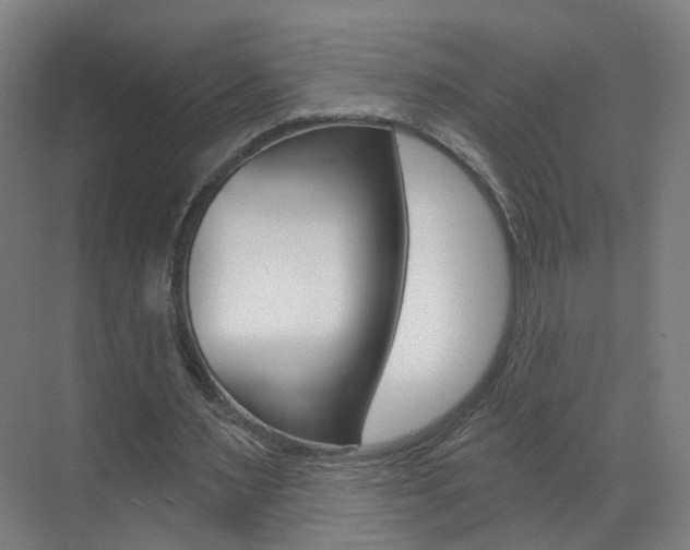 X0000071850483200606301134