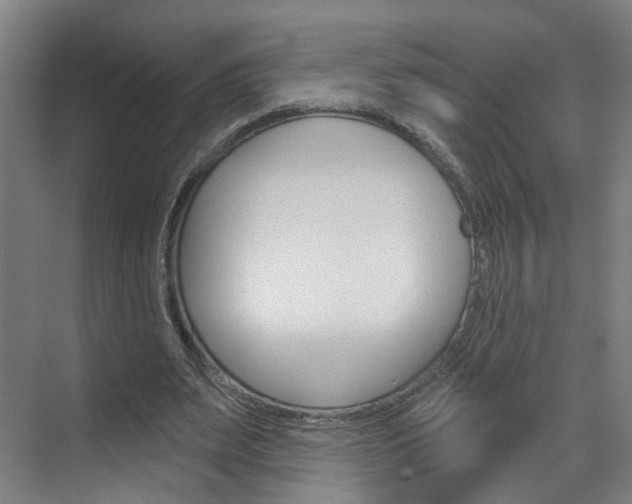 X0000071850487200606301133