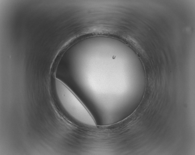 X0000071850488200606301133