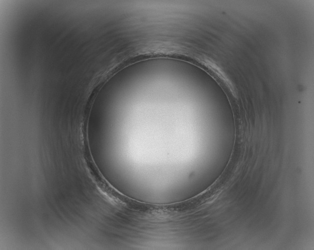 X0000071850489200606301133