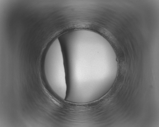 X0000071850490200606301133